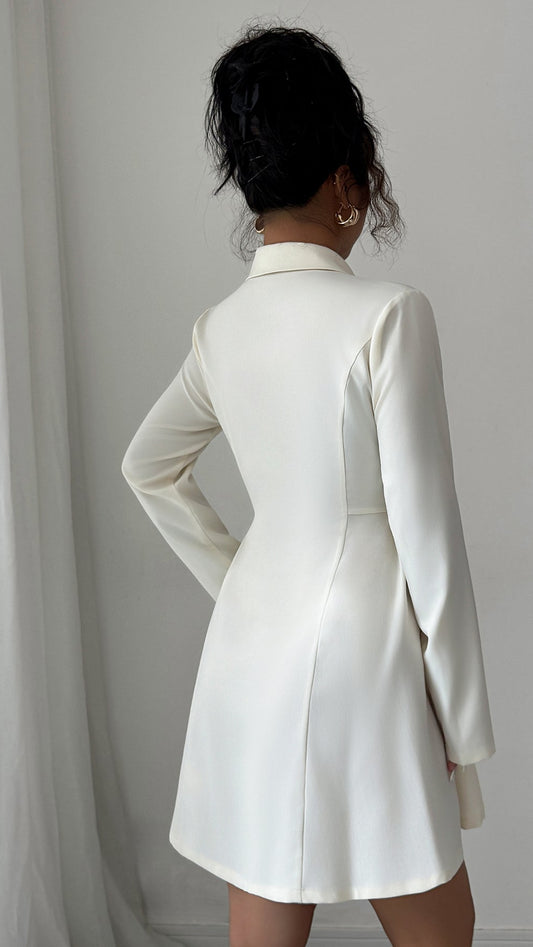 Button Long-Sleeved Midi Dress