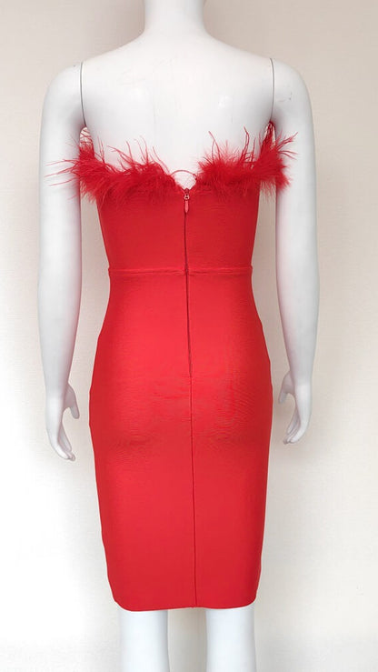 Rita Bodycon Feathered Bandag Dress
