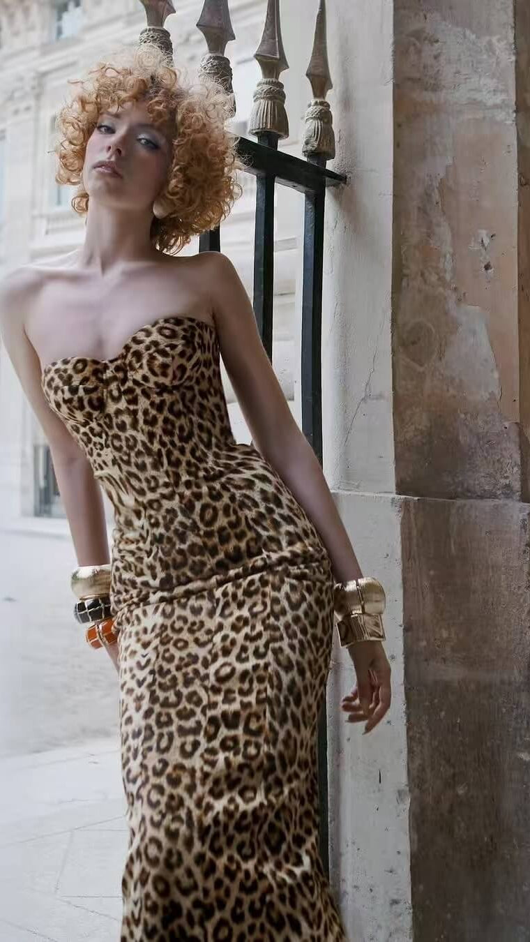 V-Neck Leopard Print Long Dress