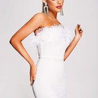 Tafari Strapless Feather Mini Dress