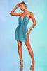 Rocelle Metallic Mesh Mini Dress