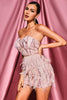 Lalia Pink Sequin Feather Mini Dress