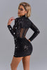 Ferne Diamonate Mini Corset Dress