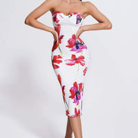 Danni Printed Midi Dress