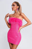 Roto Sequin Feather Mini Dress