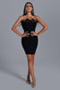 Richilde Black Strapless Feather Mini Dress