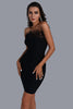 Richilde Black Strapless Feather Mini Dress
